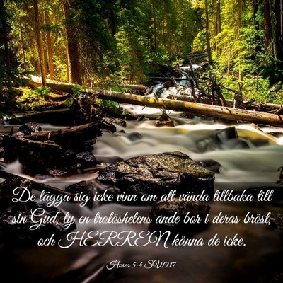 Picture 03 - Hosea 5:4 SV1917 - De lägga sig icke vinn om att vända tillbaka - Bible Verse Picture