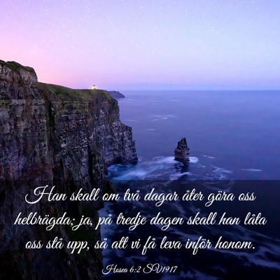 Picture 03 - Hosea 6:2 SV1917 - Han skall om två dagar åter göra oss - Bible Verse Picture
