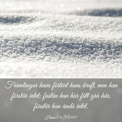 Picture 03 - Hosea 7:9 SV1917 - Främlingar hava förtärt hans kraft, men han - Bible Verse Picture