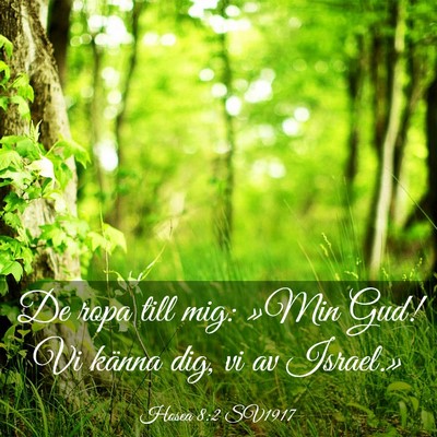 Picture 03 - Hosea 8:2 SV1917 - De ropa till mig: »Min Gud! Vi känna dig, vi av - Bible Verse Picture