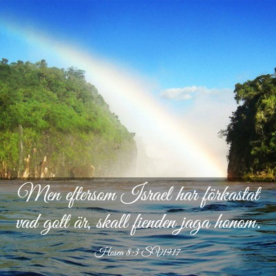 Picture 03 - Hosea 8:3 SV1917 - Men eftersom Israel har förkastat vad gott är, - Bible Verse Picture