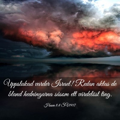 Picture 03 - Hosea 8:8 SV1917 - Uppslukad varder Israel! Redan aktas de bland - Bible Verse Picture