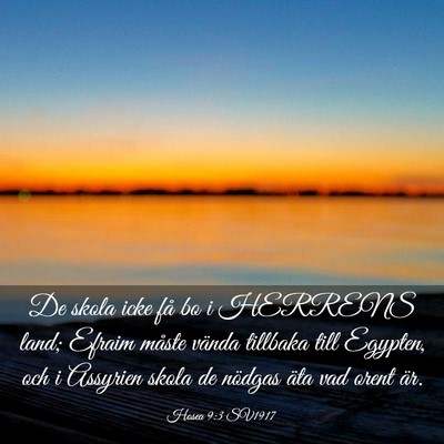 Picture 03 - Hosea 9:3 SV1917 - De skola icke få bo i HERRENS land; Efraim - Bible Verse Picture