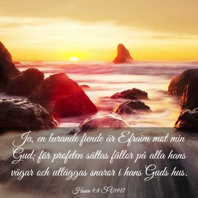 Picture 03 - Hosea 9:8 SV1917 - Ja, en lurande fiende är Efraim mot min Gud; - Bible Verse Picture
