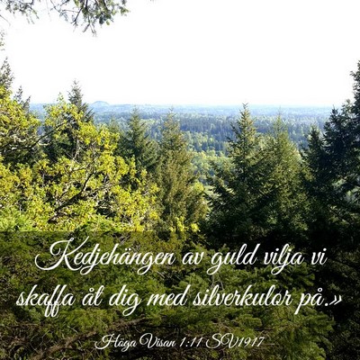 Picture 03 - Höga Visan 1:11 SV1917 - Kedjehängen av guld vilja vi skaffa åt dig med - Bible Verse Picture