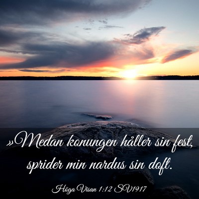 Picture 03 - Höga Visan 1:12 SV1917 - »Medan konungen håller sin fest, sprider min - Bible Verse Picture