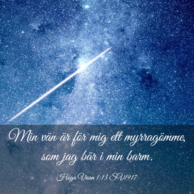 Picture 03 - Höga Visan 1:13 SV1917 - Min vän är för mig ett myrragömme, som jag - Bible Verse Picture