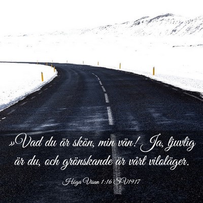 Picture 03 - Höga Visan 1:16 SV1917 - »Vad du är skön, min vän! Ja, ljuvlig är du, - Bible Verse Picture