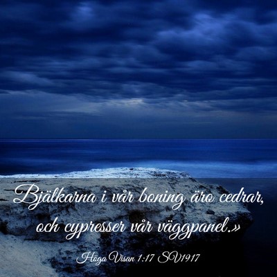 Picture 03 - Höga Visan 1:17 SV1917 - Bjälkarna i vår boning äro cedrar, och - Bible Verse Picture