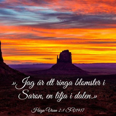 Picture 03 - Höga Visan 2:1 SV1917 - »Jag är ett ringa blomster i Saron, en lilja i - Bible Verse Picture