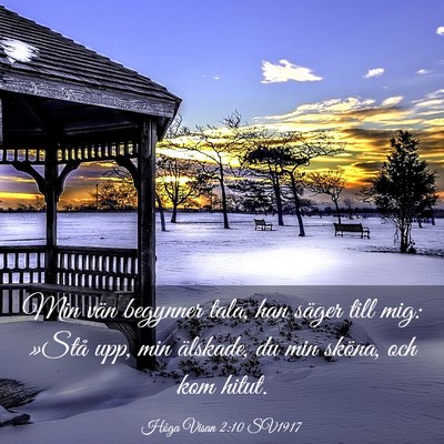 Picture 03 - Höga Visan 2:10 SV1917 - Min vän begynner tala, han säger till mig: - Bible Verse Picture