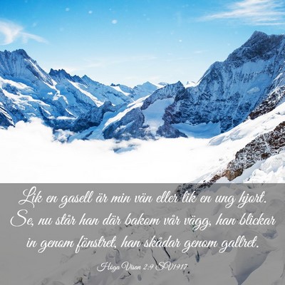 Picture 03 - Höga Visan 2:9 SV1917 - Lik en gasell är min vän eller lik en ung - Bible Verse Picture