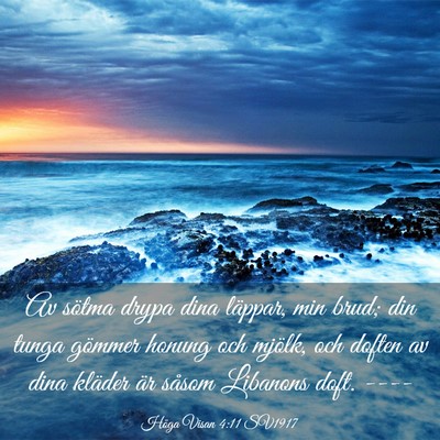Picture 03 - Höga Visan 4:11 SV1917 - Av sötma drypa dina läppar, min brud; din tunga - Bible Verse Picture
