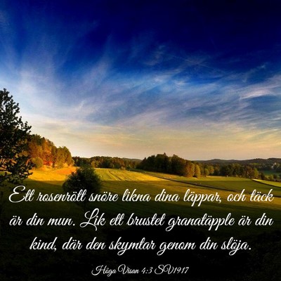 Picture 03 - Höga Visan 4:3 SV1917 - Ett rosenrött snöre likna dina läppar, och - Bible Verse Picture