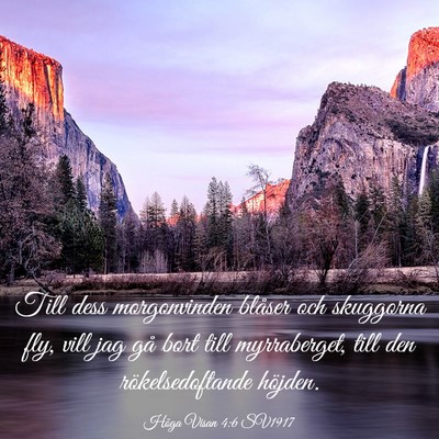 Picture 03 - Höga Visan 4:6 SV1917 - Till dess morgonvinden blåser och skuggorna fly, - Bible Verse Picture
