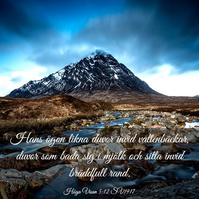 Picture 03 - Höga Visan 5:12 SV1917 - Hans ögon likna duvor invid vattenbäckar, duvor - Bible Verse Picture