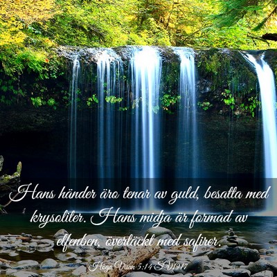 Picture 03 - Höga Visan 5:14 SV1917 - Hans händer äro tenar av guld, besatta med - Bible Verse Picture