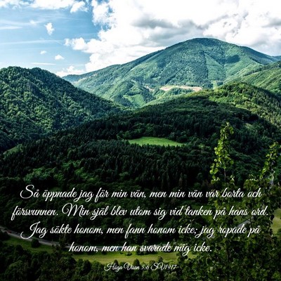 Picture 03 - Höga Visan 5:6 SV1917 - Så öppnade jag för min vän, men min vän var - Bible Verse Picture