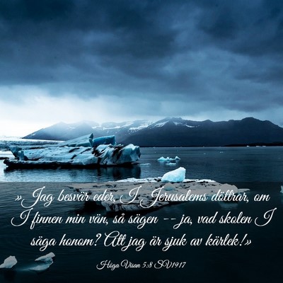 Picture 03 - Höga Visan 5:8 SV1917 - »Jag besvär eder, I Jerusalems döttrar, om I - Bible Verse Picture