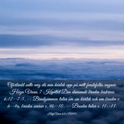 Picture 03 - Höga Visan 6:11 SV1917 - Oförtänkt satte mig då min kärlek upp på - Bible Verse Picture