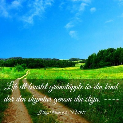 Picture 03 - Höga Visan 6:6 SV1917 - Lik ett brustet granatäpple är din kind, där - Bible Verse Picture
