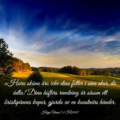 Picture 03 - Höga Visan 7:1 SV1917 - »Huru sköna äro icke dina fötter i sina skor, - Bible Verse Picture