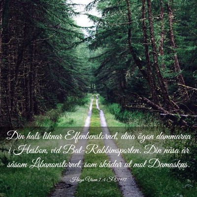 Picture 03 - Höga Visan 7:4 SV1917 - Din hals liknar Elfenbenstornet, dina ögon - Bible Verse Picture