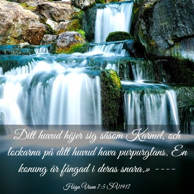 Picture 03 - Höga Visan 7:5 SV1917 - Ditt huvud höjer sig såsom Karmel, och lockarna - Bible Verse Picture