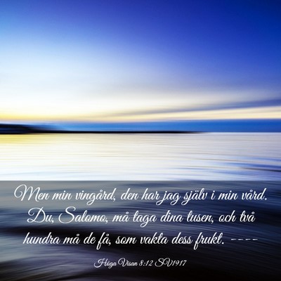 Picture 03 - Höga Visan 8:12 SV1917 - Men min vingård, den har jag själv i min vård. - Bible Verse Picture