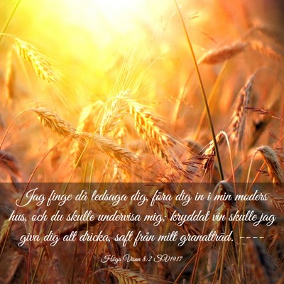 Picture 03 - Höga Visan 8:2 SV1917 - Jag finge då ledsaga dig, föra dig in i min - Bible Verse Picture