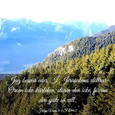 Picture 03 - Höga Visan 8:4 SV1917 - Jag besvär eder, I Jerusalems döttrar: Oroen - Bible Verse Picture