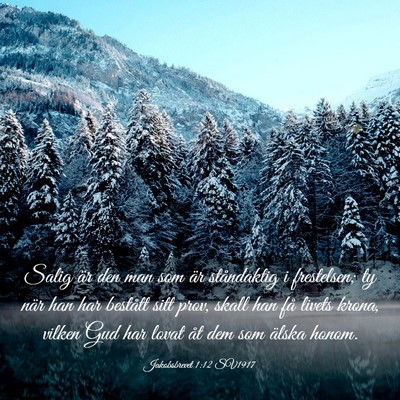 Picture 03 - Jakobsbrevet 1:12 SV1917 - Salig är den man som är ståndaktig i - Bible Verse Picture