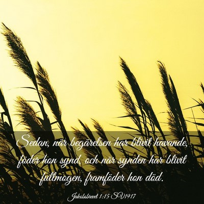 Picture 03 - Jakobsbrevet 1:15 SV1917 - Sedan, när begärelsen har blivit havande, - Bible Verse Picture