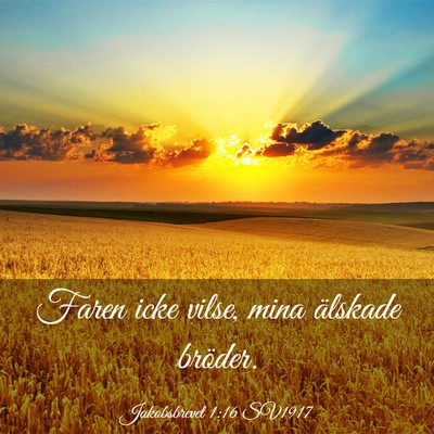 Picture 03 - Jakobsbrevet 1:16 SV1917 - Faren icke vilse, mina älskade - Bible Verse Picture