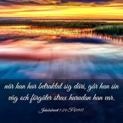 Picture 03 - Jakobsbrevet 1:24 SV1917 - när han har betraktat sig däri, går han sin - Bible Verse Picture