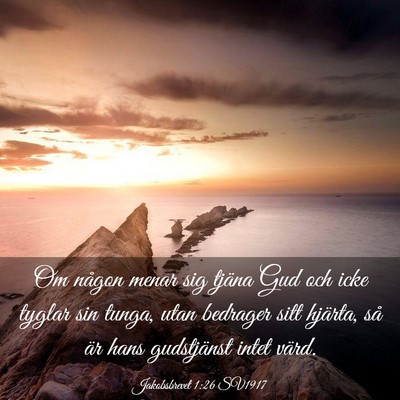 Picture 03 - Jakobsbrevet 1:26 SV1917 - Om någon menar sig tjäna Gud och icke tyglar - Bible Verse Picture