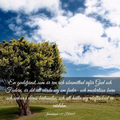 Picture 03 - Jakobsbrevet 1:27 SV1917 - En gudstjänst, som är ren och obesmittad inför - Bible Verse Picture