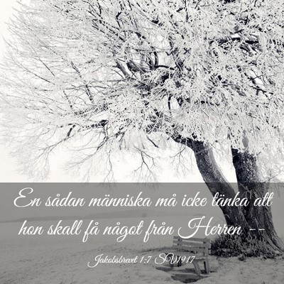 Picture 03 - Jakobsbrevet 1:7 SV1917 - En sådan människa må icke tänka att hon skall - Bible Verse Picture