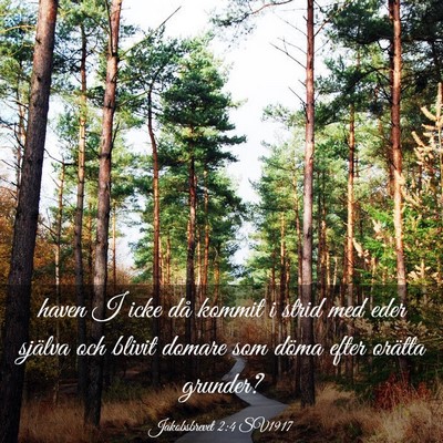 Picture 03 - Jakobsbrevet 2:4 SV1917 - haven I icke då kommit i strid med eder själva - Bible Verse Picture