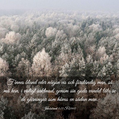 Picture 03 - Jakobsbrevet 3:13 SV1917 - Finnes bland eder någon vis och förståndig - Bible Verse Picture