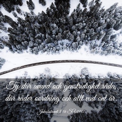 Picture 03 - Jakobsbrevet 3:16 SV1917 - Ty där avund och genstridighet råda, där - Bible Verse Picture