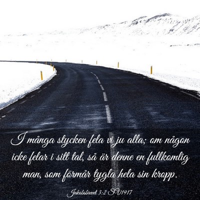 Picture 03 - Jakobsbrevet 3:2 SV1917 - I många stycken fela vi ju alla; om någon icke - Bible Verse Picture