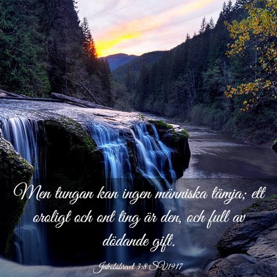 Picture 03 - Jakobsbrevet 3:8 SV1917 - Men tungan kan ingen människa tämja; ett - Bible Verse Picture