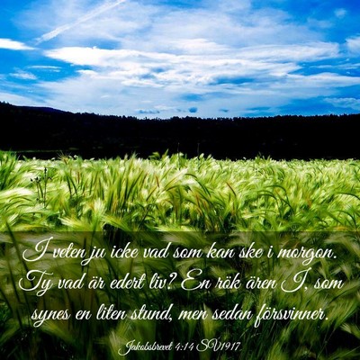 Picture 03 - Jakobsbrevet 4:14 SV1917 - I veten ju icke vad som kan ske i morgon. Ty vad - Bible Verse Picture