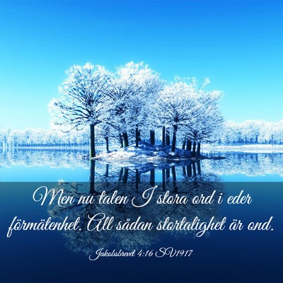 Picture 03 - Jakobsbrevet 4:16 SV1917 - Men nu talen I stora ord i eder förmätenhet. - Bible Verse Picture