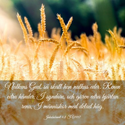 Picture 03 - Jakobsbrevet 4:8 SV1917 - Nalkens Gud, så skall han nalkas eder. Renen - Bible Verse Picture