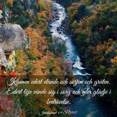 Picture 03 - Jakobsbrevet 4:9 SV1917 - Kännen edert elände och sörjen och gråten. - Bible Verse Picture