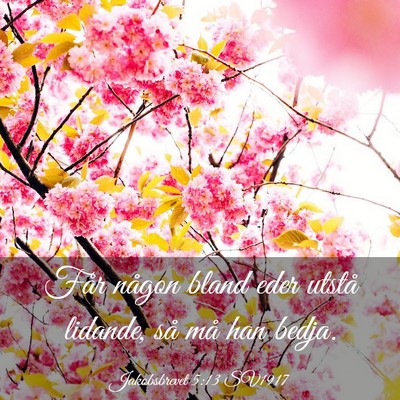 Picture 03 - Jakobsbrevet 5:13 SV1917 - Får någon bland eder utstå lidande, så må - Bible Verse Picture