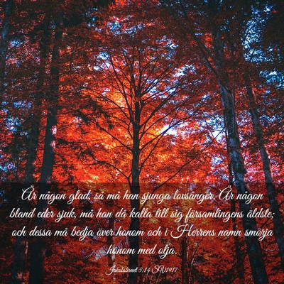 Picture 03 - Jakobsbrevet 5:14 SV1917 - Är någon glad, så må han sjunga lovsånger. - Bible Verse Picture