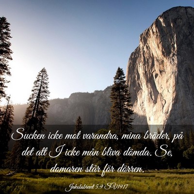 Picture 03 - Jakobsbrevet 5:9 SV1917 - Sucken icke mot varandra, mina bröder, på det - Bible Verse Picture